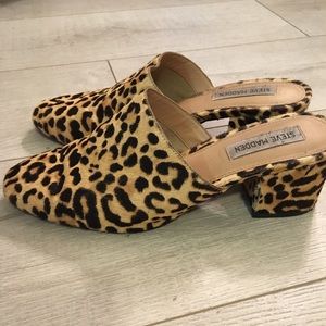Steve Madden Notch Block Heel Mule Leopard